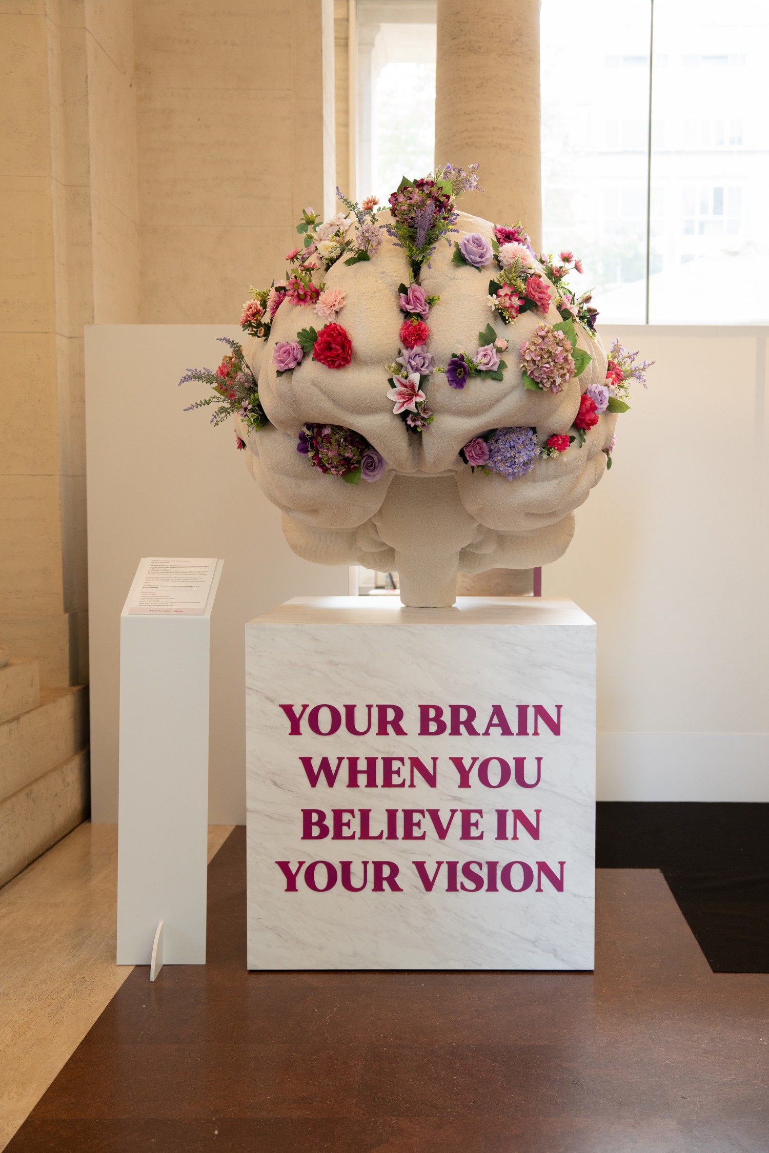 Your Brain When You Believe in Your Vision